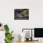 Schildpad Poster (Thuiskantoor)