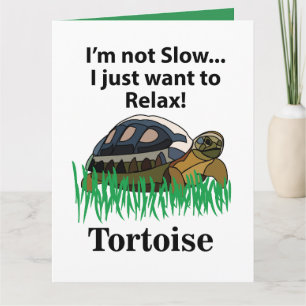 Schildpad Relax Dier Schattige Grappige Verjaardag Kaart