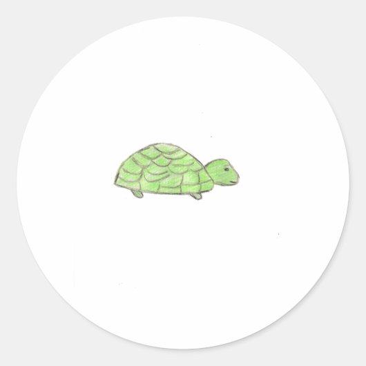 Schildpad Ronde Sticker (Voorkant)
