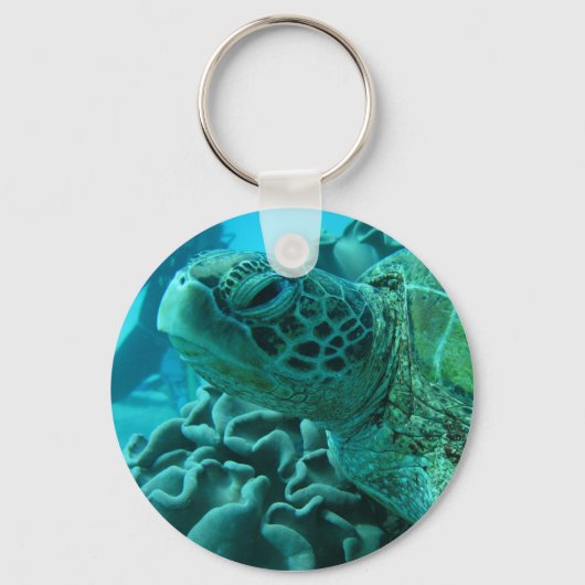 Schildpad Sleutelhanger (Voorkant)