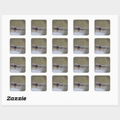 Schildpad Stickers (Vel)