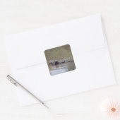 Schildpad Stickers (Envelop)