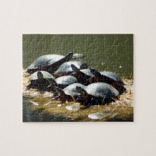 Schildpad Troup Legpuzzel