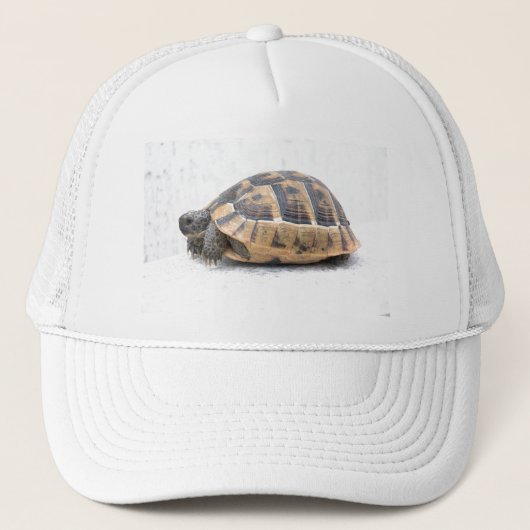 Schildpad Trucker Pet (Voorkant)