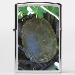 Schildpad tussen het groen
