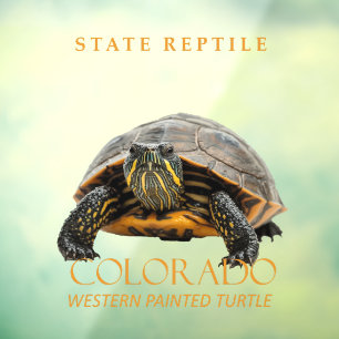 Schildpad uit het Colorado-territorium Westelijke Raamsticker