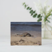 schildpad van Oahu Briefkaart (Staand voorkant)