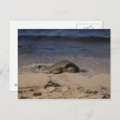 schildpad van Oahu Briefkaart (Voorkant / Achterkant)