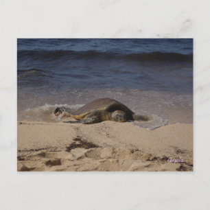 schildpad van Oahu Briefkaart