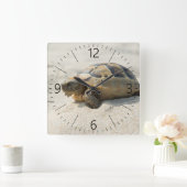 Schildpad Vierkante Klok (Huis)
