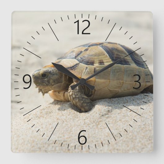 Schildpad Vierkante Klok (Voorkant)