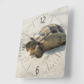 Schildpad Vierkante Klok (Hoek)