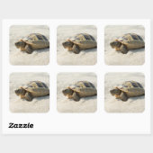 Schildpad Vierkante Sticker (Vel)