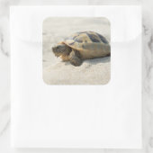 Schildpad Vierkante Sticker (Tas)
