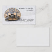 Schildpad Visitekaartje (Voorkant / Achterkant)
