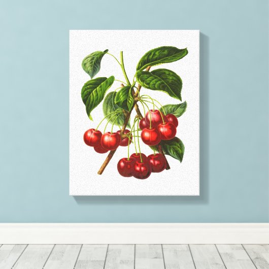 schildpad voor rode kersen canvas afdruk (Insitu (Houten vloer))