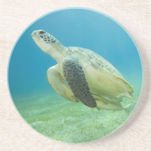 Schildpad Zandsteen Onderzetter