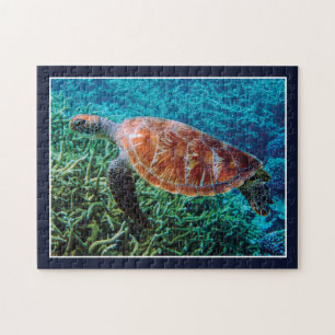 Schildpad Zee Schepsel Oceaan Wilde Dieren Legpuzzel