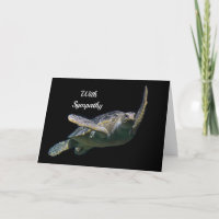 Schildpad Zwemmen Zee Foto Sympathie