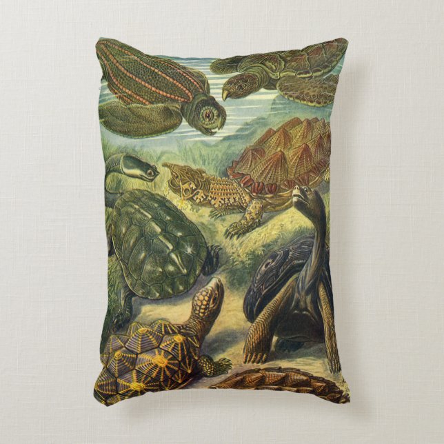  schildpadden en Zeeen schildpadden door Ernst Hae Accent Kussen (Voorkant(Verticaal))