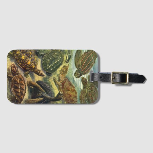 schildpadden en Zeeen schildpadden door Ernst Hae Bagagelabel (Voorkant (horizontaal))