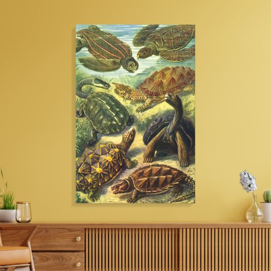  schildpadden en Zeeen schildpadden door Ernst Hae Canvas Afdruk (Insitu (Woonkamer))