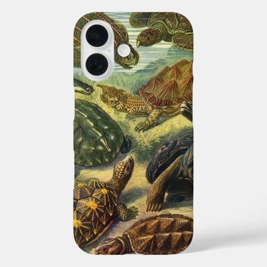 schildpadden en Zeeen schildpadden door Ernst Hae Case-Mate iPhone Case (Achterkant)