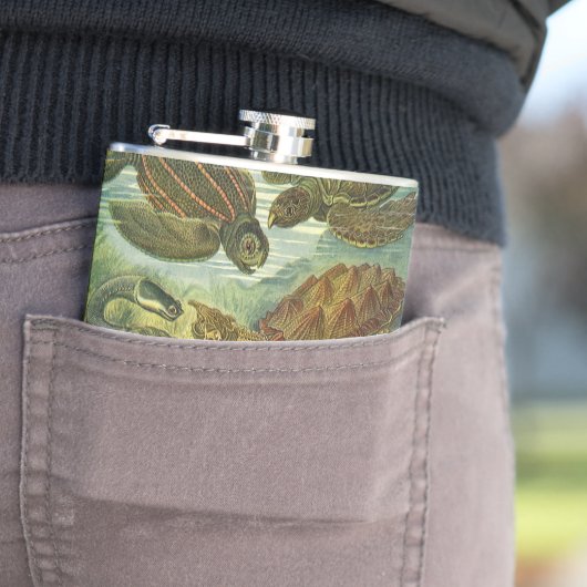  schildpadden en Zeeen schildpadden door Ernst Hae Heupfles (Voorbeeld)