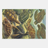 schildpadden en Zeeen schildpadden door Ernst Hae Inpakpapier Vel (Voorkant 2)