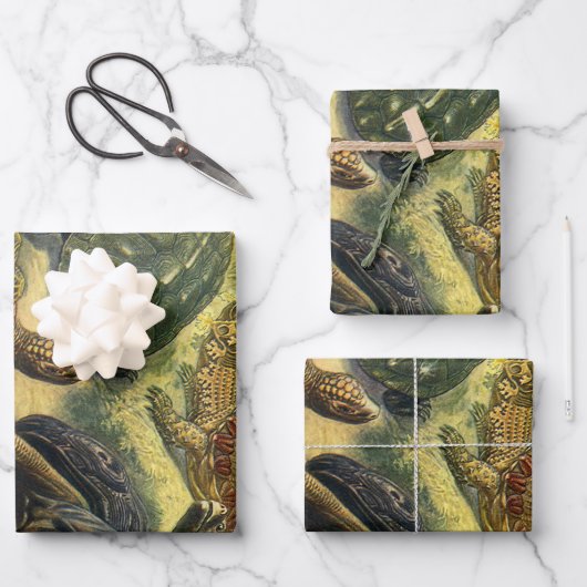 schildpadden en Zeeen schildpadden door Ernst Hae Inpakpapier Vel (Voorkant)
