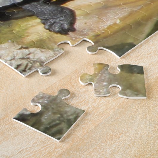 Schildpadden Legpuzzel (Zijkant)