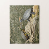 Schildpadden Legpuzzel (Verticaal)