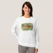Schildpadden (Passerian ciris), mannelijk vervoede T-shirt (Voorkant volledig)