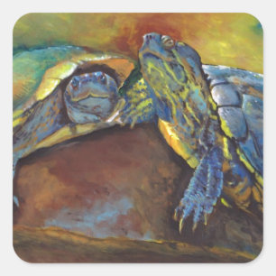 Schildpadden Vierkante Sticker