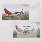 Schildpadden Visitekaartje (Voorkant / Achterkant)