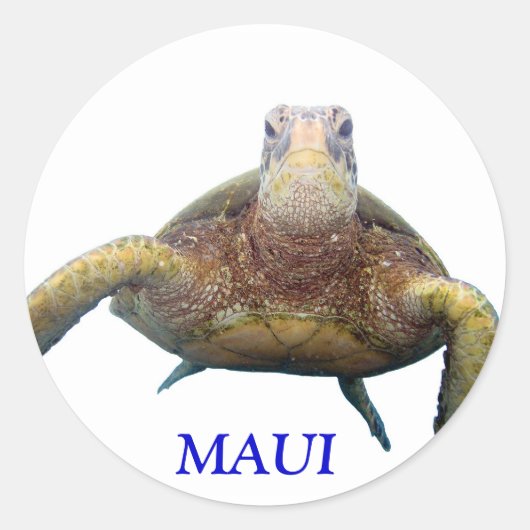 Schildpaddenborst, MAUI Ronde Sticker (Voorkant)