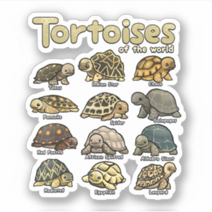 Schildpaddieren van de Wereld Schattigee Reptiel S Sticker