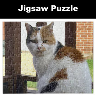 Schildpadkat zit op terrasplanken legpuzzel