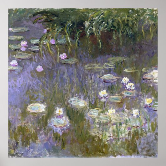 Schildpadschilder van de monet poster (Voorkant)