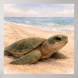 Schildpadstrand poster
