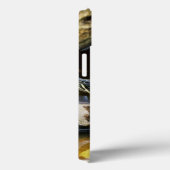 Schildschildpad in het wild Case-Mate iPhone case (Achterkant / Rechts)