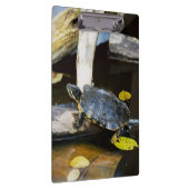 Schildschildpad in het wild klembord (Rechts)