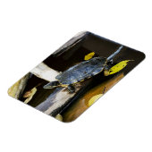 Schildschildpad in het wild magneet (Linkerzijde)