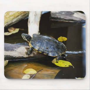 Schildschildpad in het wild muismat