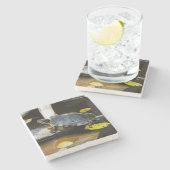 Schildschildpad in het wild stenen onderzetter (Zijkant)