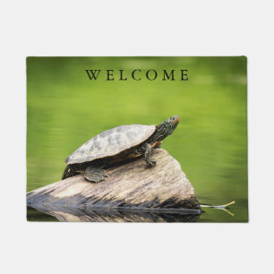 Schildschildpad op een logboek deurmat