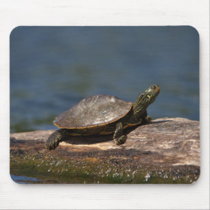 Schildschildpad op een logboek muismat