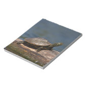 Schildschildpad op een logboek notitieblok (Gedraaid)