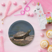 Schildschildpad op een logboek papieren bordje (Feest)