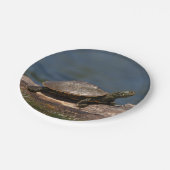 Schildschildpad op een logboek papieren bordje (Gekanteld)